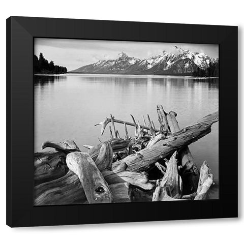 Driftwood on shore of Jackson Lake, with Teton Range in background, Grand Teton National Park, Wyomi Black Modern Wood Framed Art Print by Adams, Ansel