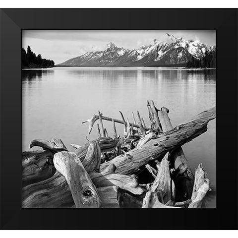 Driftwood on shore of Jackson Lake, with Teton Range in background, Grand Teton National Park, Wyomi Black Modern Wood Framed Art Print by Adams, Ansel