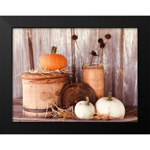 Autumn Pumpkins Black Modern Wood Framed Art Print by Smith, Anthony
