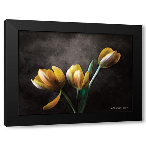 Contemporary Floral Tulips Black Modern Wood Framed Art Print with Double Matting by Bluebird Barn