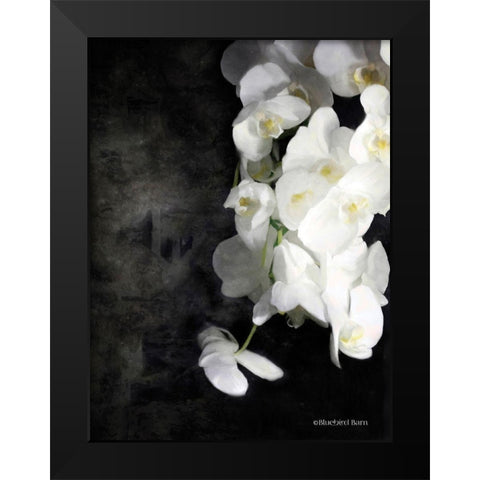 Contemporary White Orchids Black Modern Wood Framed Art Print by Bluebird Barn