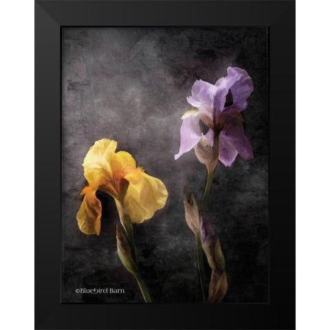 Contemporize Floral Iris Black Modern Wood Framed Art Print by Bluebird Barn