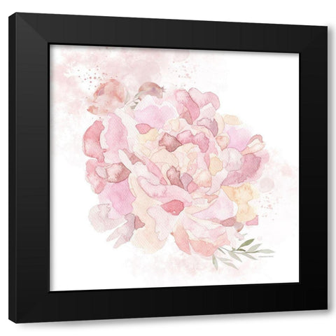 Cottage Peony I Black Modern Wood Framed Art Print with Double Matting by Bluebird Barn
