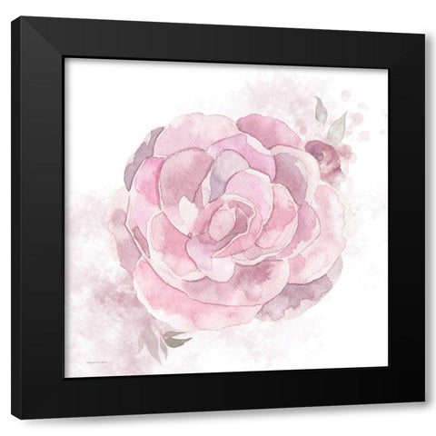 Cottage Peony II Black Modern Wood Framed Art Print by Bluebird Barn
