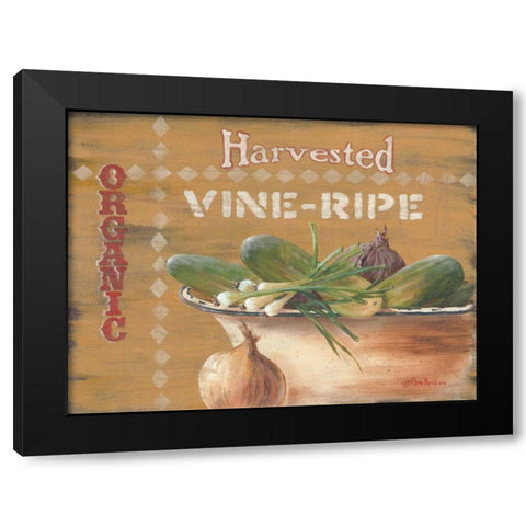 Vine Ripe Black Modern Wood Framed Art Print with Double Matting by Britton, Pam