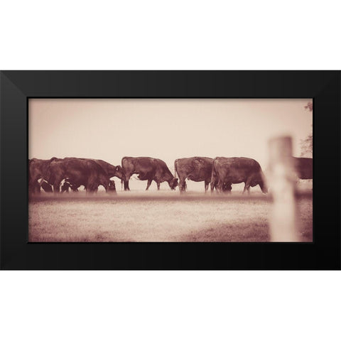 Cattle Row Black Modern Wood Framed Art Print by Quillen, Donnie
