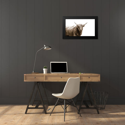 Highland Portrait Black Modern Wood Framed Art Print by Quillen, Donnie