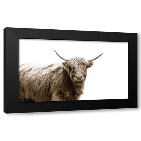 Highland Portrait Black Modern Wood Framed Art Print by Quillen, Donnie