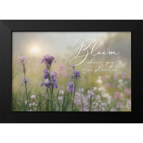 Bloom Where You are Planted Black Modern Wood Framed Art Print by Deiter, Lori