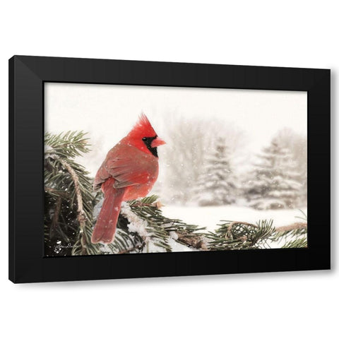 Winter Perch Black Modern Wood Framed Art Print with Double Matting by Deiter, Lori