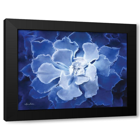 Blue Succulent I Black Modern Wood Framed Art Print by Deiter, Lori