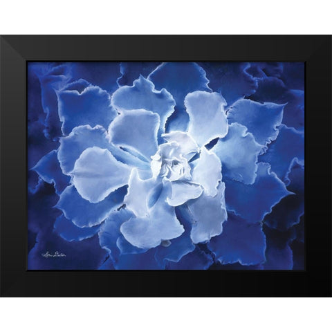 Blue Succulent I Black Modern Wood Framed Art Print by Deiter, Lori