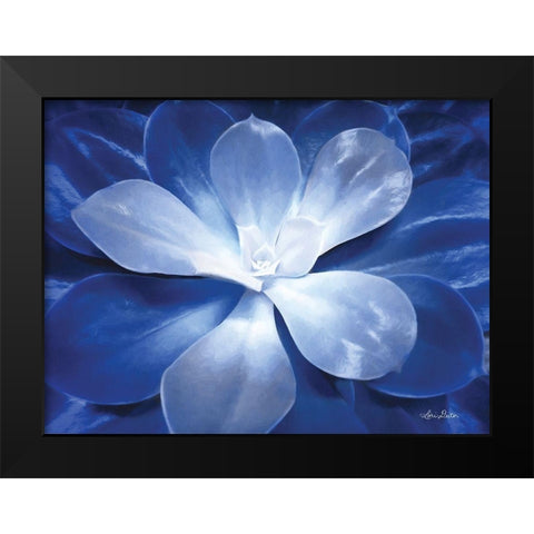 Blue Succulent II Black Modern Wood Framed Art Print by Deiter, Lori