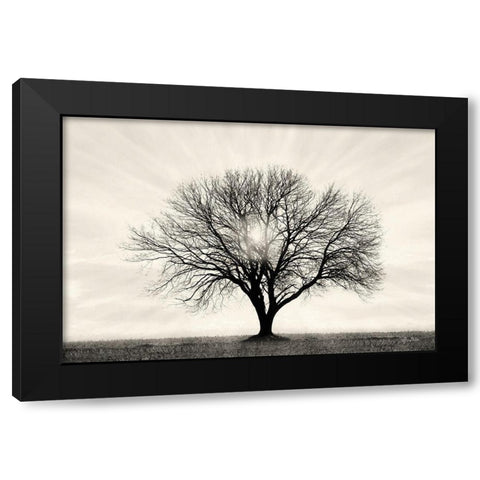 Grow in Different Directions Black Modern Wood Framed Art Print with Double Matting by Deiter, Lori