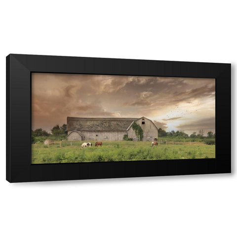 Sunset Grazing Black Modern Wood Framed Art Print with Double Matting by Deiter, Lori