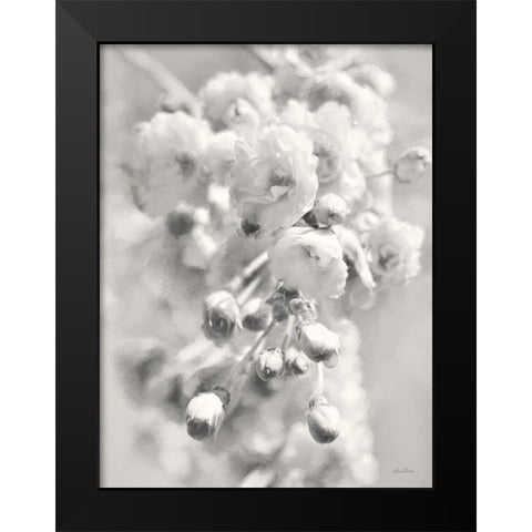 Painted Blossoms II Black Modern Wood Framed Art Print by Deiter, Lori