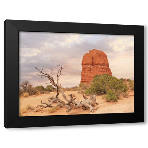 Dusty Desert I Black Modern Wood Framed Art Print with Double Matting by Deiter, Lori