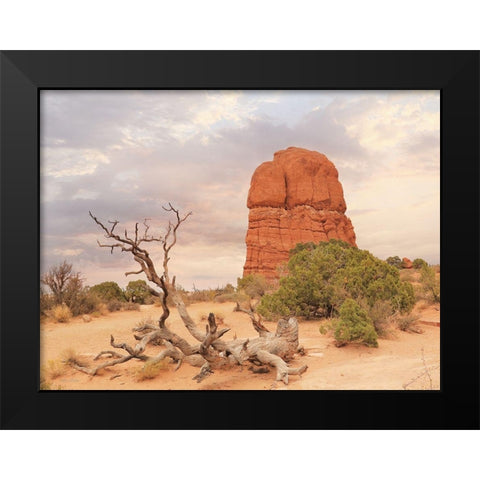 Dusty Desert I Black Modern Wood Framed Art Print by Deiter, Lori