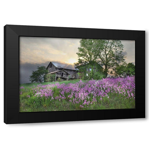 Country Living Black Modern Wood Framed Art Print by Deiter, Lori