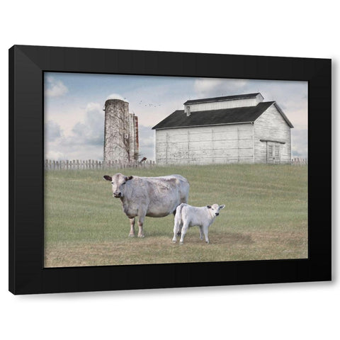 Momma and Baby Cow Black Modern Wood Framed Art Print with Double Matting by Deiter, Lori