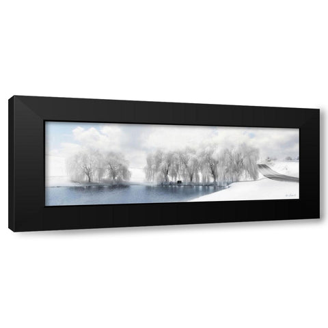 Winter Willow Black Modern Wood Framed Art Print with Double Matting by Deiter, Lori
