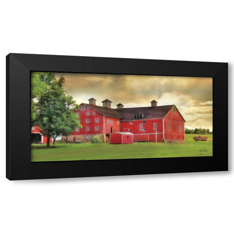 Aging Gracefully Black Modern Wood Framed Art Print by Deiter, Lori