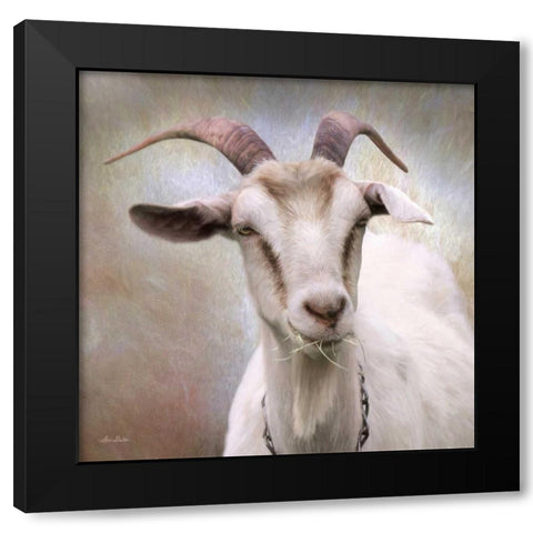 Up Close Goat Black Modern Wood Framed Art Print with Double Matting by Deiter, Lori