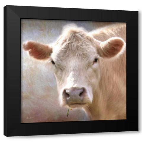 Up Close Cow Black Modern Wood Framed Art Print with Double Matting by Deiter, Lori