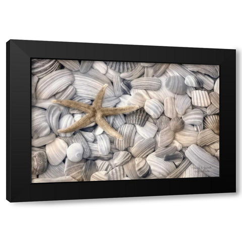 Starfish and Seashells Black Modern Wood Framed Art Print with Double Matting by Deiter, Lori