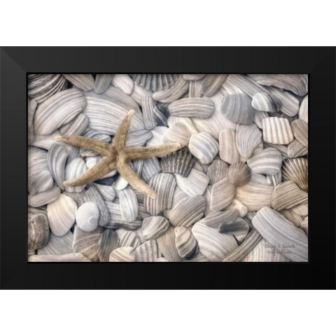 Starfish and Seashells Black Modern Wood Framed Art Print by Deiter, Lori