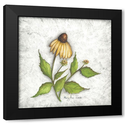 Bloomin Coneflowers Black Modern Wood Framed Art Print with Double Matting by June, Mary Ann