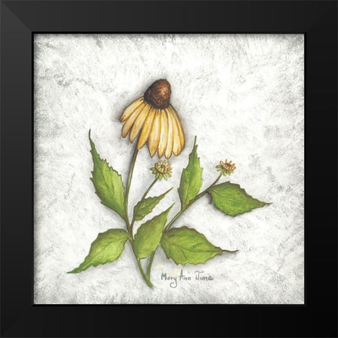 Bloomin Coneflowers Black Modern Wood Framed Art Print by June, Mary Ann