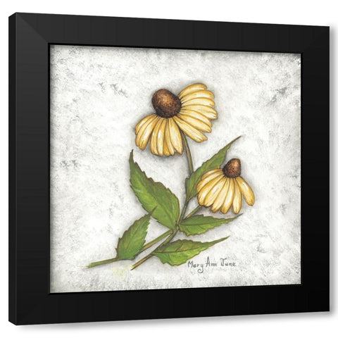 Yellow Coneflowers Black Modern Wood Framed Art Print with Double Matting by June, Mary Ann