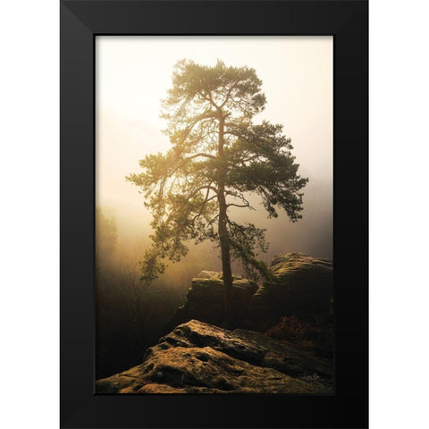 On the Edge of Glory Black Modern Wood Framed Art Print by Podt, Martin