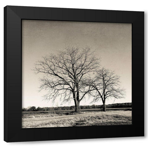 Tree No. 57 Black Modern Wood Framed Art Print by Rigsby, Jennifer