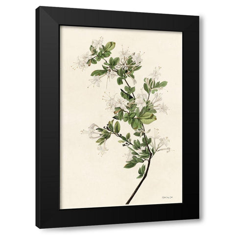 Wood Pewee Black Modern Wood Framed Art Print with Double Matting by Stellar Design Studio