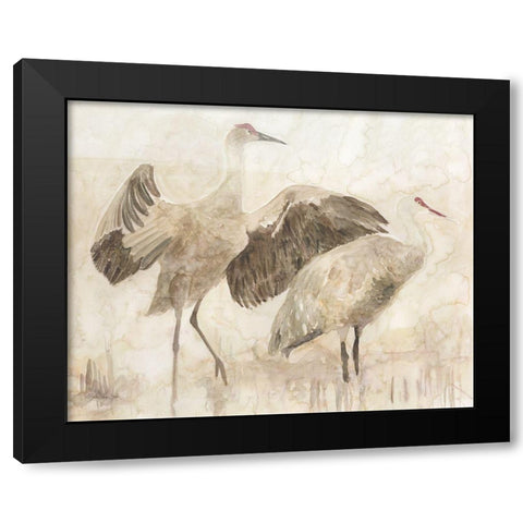 Sandhill Cranes 2 Black Modern Wood Framed Art Print with Double Matting by Stellar Design Studio