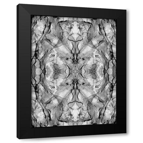 Black and white of quiver tree bark abstract Black Modern Wood Framed Art Print with Double Matting by Jaynes Gallery