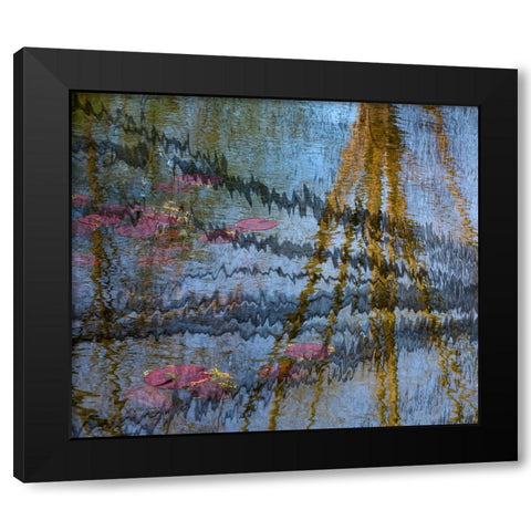 Lily pond reflection abstract Black Modern Wood Framed Art Print with Double Matting by Jaynes Gallery