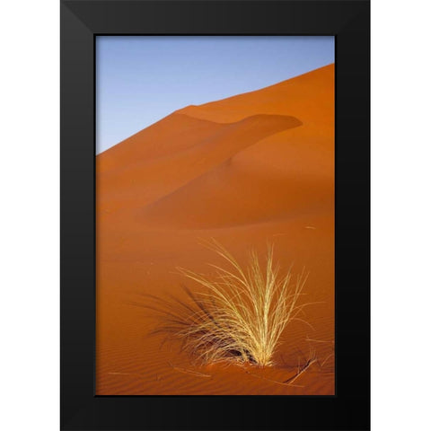 Grass and reddish sand dune, Sossusvlei, Namibia Black Modern Wood Framed Art Print by Kaveney, Wendy
