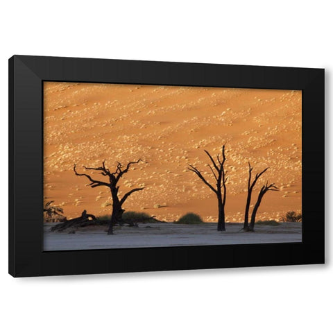 Dead tree, Dead Vlei, Sossusvlei, Namibia Black Modern Wood Framed Art Print by Kaveney, Wendy