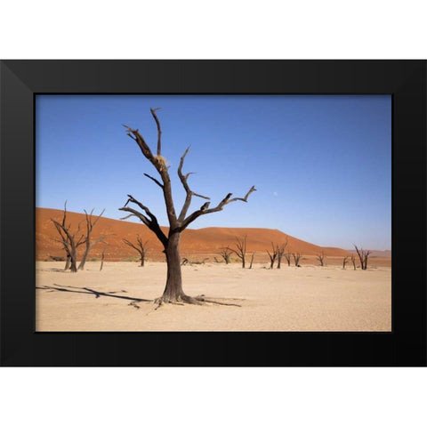 Moon and tree, Dead Vlei, Sossusvlei, Namibia Black Modern Wood Framed Art Print by Kaveney, Wendy