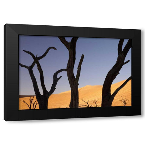 Tree and dunes, Dead Vlei, Sossusvlei, Namibia Black Modern Wood Framed Art Print by Kaveney, Wendy