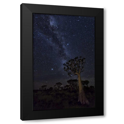 Namibia Milky Way and quiver trees at night Black Modern Wood Framed Art Print by Kaveney, Wendy