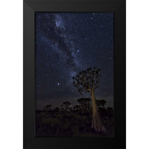 Namibia Milky Way and quiver trees at night Black Modern Wood Framed Art Print by Kaveney, Wendy