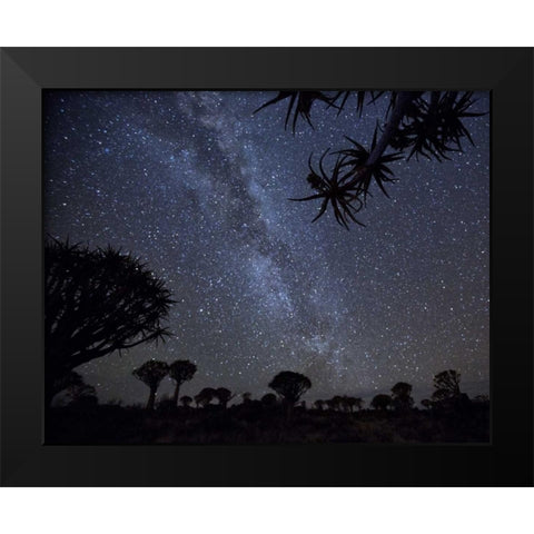 Namibia Milky Way and quiver trees at night Black Modern Wood Framed Art Print by Kaveney, Wendy