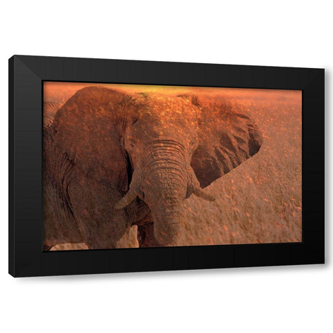 Africa-Namibia-Montage of elephant at sunrise Black Modern Wood Framed Art Print by Jaynes Gallery