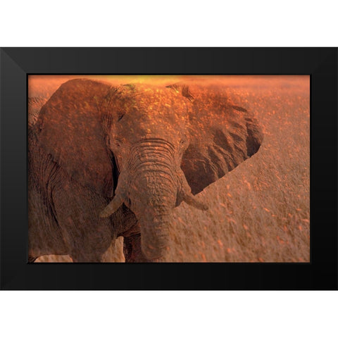Africa-Namibia-Montage of elephant at sunrise Black Modern Wood Framed Art Print by Jaynes Gallery