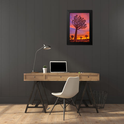 Africa-Namibia-Quiver trees at sunset Black Modern Wood Framed Art Print by Jaynes Gallery