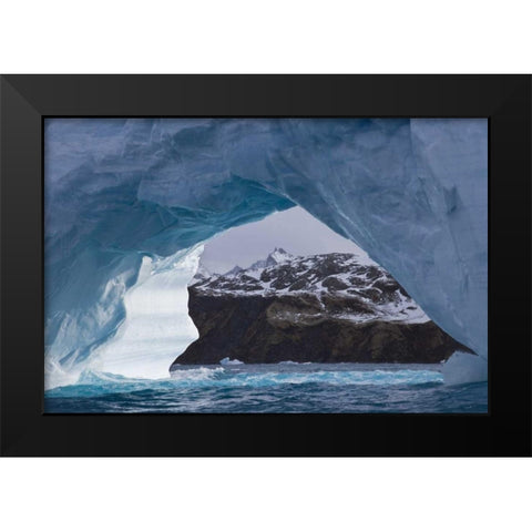 South Georgia Island, Iris Bay Iceberg arch Black Modern Wood Framed Art Print by Paulson, Don